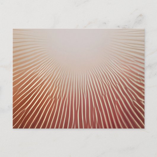 Carte Postale Impressions photos (Devant)