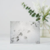 Carte Postale Impressions Possum (Debout devant)