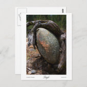 Carte Postale Imprimantes en angle (Devant / Derrière)