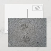 Carte Postale Imprimantes Kitty (Devant / Derrière)