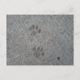 Carte Postale Imprimantes Kitty