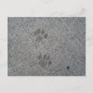 Carte Postale Imprimantes Kitty