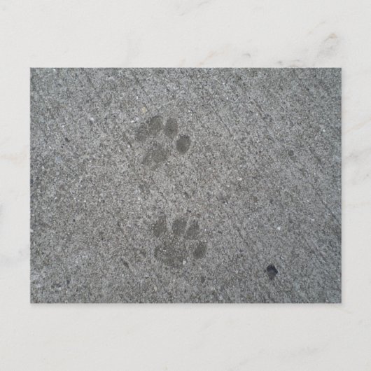 Carte Postale Imprimantes Kitty (Devant)