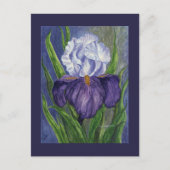 Carte Postale Imprimantes violettes Iris Mini Collectibles (Devant)