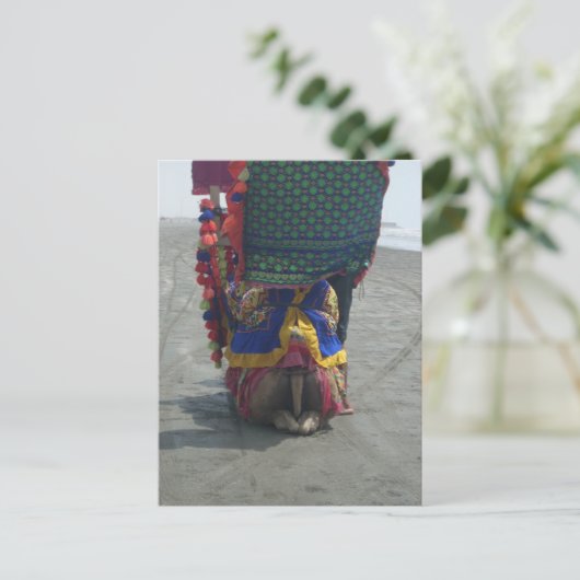 Carte Postale Imprimé/graphique en forme de chameau (Debout devant)