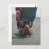 Carte Postale Imprimé/graphique en forme de chameau (Devant / Derrière)