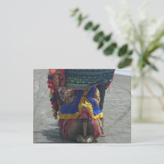 Carte Postale Imprimé/graphique en forme de chameau (Debout devant)