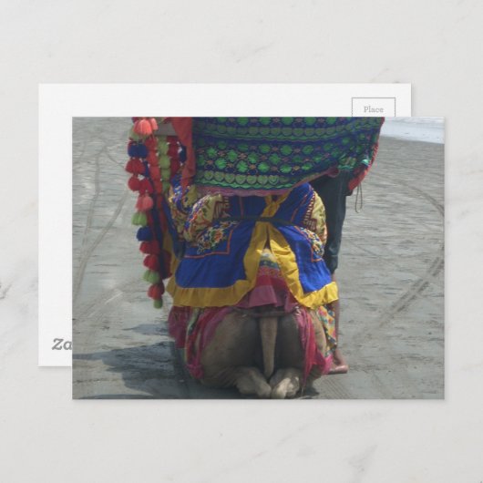 Carte Postale Imprimé/graphique en forme de chameau (Devant / Derrière)