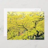 Carte Postale imprimé japonais jaune gingko (Devant / Derrière)