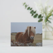 Carte postale Imprimée Art Cheval (Debout devant)