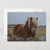 Carte postale Imprimée Art Cheval (Devant / Derrière)