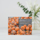 Carte postale imprimée de la ferme de citrouilles (Debout devant)