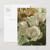 Carte postale imprimée de roses blanches vintage (Devant / Derrière)