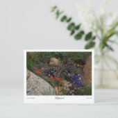 Carte Postale Imprimer Potpourri (Debout devant)