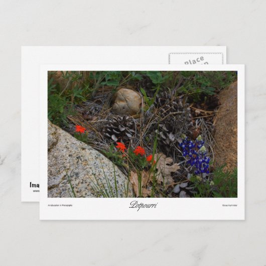 Carte Postale Imprimer Potpourri (Devant / Derrière)