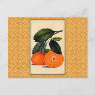 Carte Postale Imprimerie vintage orange