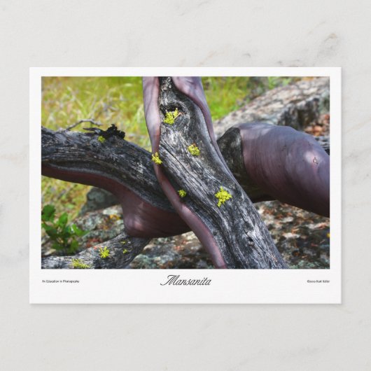 Carte Postale Imprimés Mansanita (Devant)