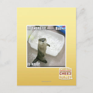 Carte Postale In there? Is Kold!