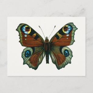 Carte Postale Inachis io - Le papillon paon européen
