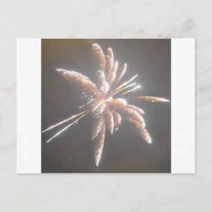 Carte Postale incendie