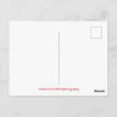 Carte Postale Incendie de camp d'été du Colorado (Dos)