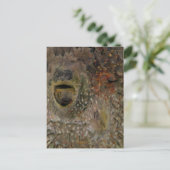 Carte Postale Incident de poisson-souffle (Debout devant)