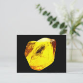 Carte Postale Inclusion d'ambre de scarabée (Debout devant)