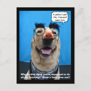 Carte Postale Incognito