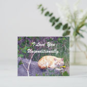 Carte postale inconditionnelle (Debout devant)