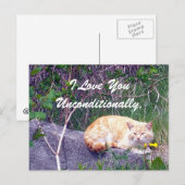 Carte postale inconditionnelle (Devant / Derrière)