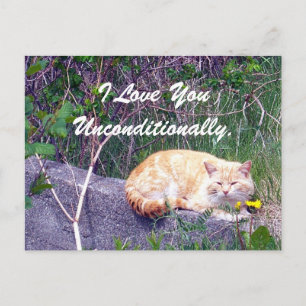 Carte postale inconditionnelle