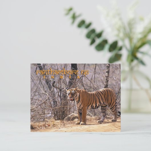 Carte Postale Inde (Debout devant)