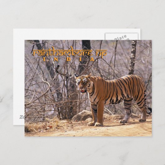 Carte Postale Inde (Devant / Derrière)