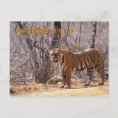 Carte Postale Inde (Devant)