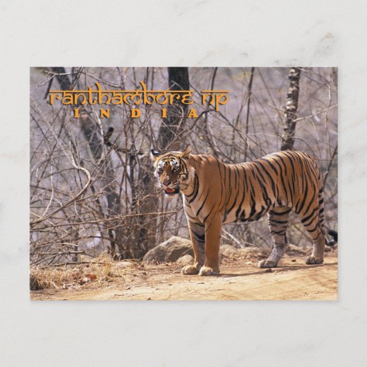 Carte Postale Inde (Devant)