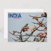 Carte postale - Inde - Calcutta - Printemps indien (Devant / Derrière)