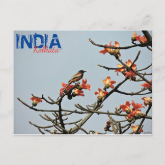 Carte postale - Inde - Calcutta - Printemps indien