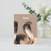 Carte Postale Inde Cobra (Debout devant)