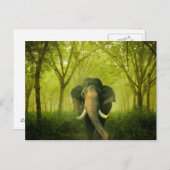 Carte Postale Indian Elephant Superbe Grosse Forêt Verte Mammifè (Devant / Derrière)