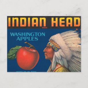 Carte Postale Indian Head Washington Apples Vintage Ad