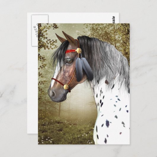 Carte postale Indian Pony (Devant / Derrière)