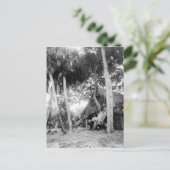 Carte Postale Indian River, Floride Getaway : 1890 (Debout devant)