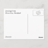 Carte postale Indian River Sunset Ocean City (Dos)