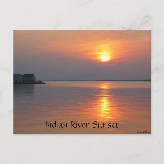 Carte postale Indian River Sunset Ocean City (Devant)