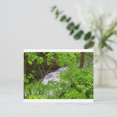 Carte Postale Indian Run Falls, Dublin, Ohio (Debout devant)