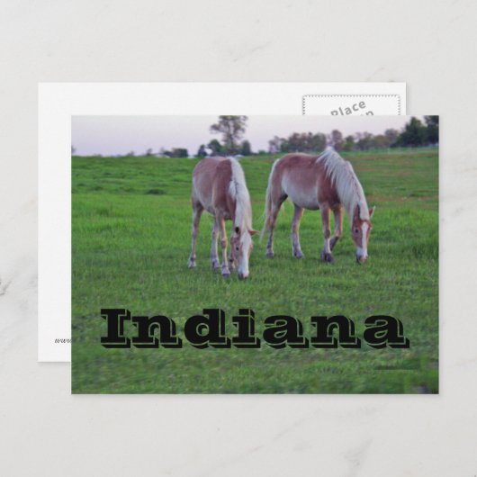 Carte Postale Indiana (Devant / Derrière)