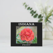 Carte Postale Indiana Peony (Debout devant)