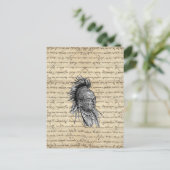 Carte Postale Indien américain (Debout devant)