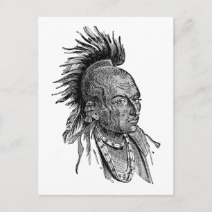 Carte Postale Indien américain