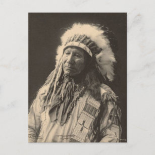 Carte Postale indien vintage : Cheval américain en chef, Sioux -